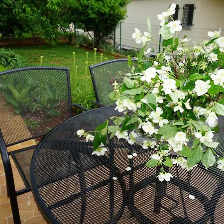 Apartment Bozica Umag Murine