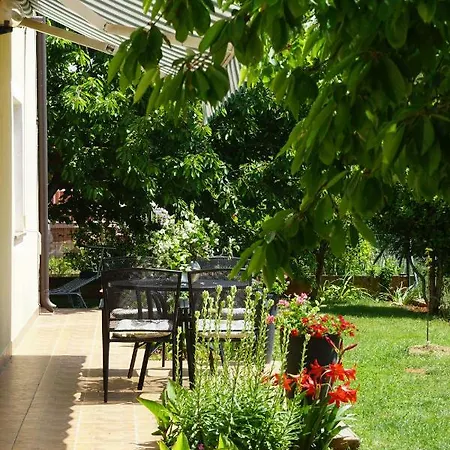 Bozica Umag Murine