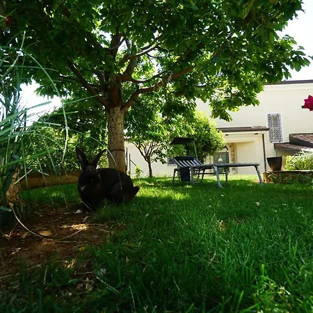 Apartment Bozica Umag