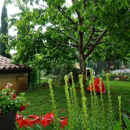 Bozica Umag